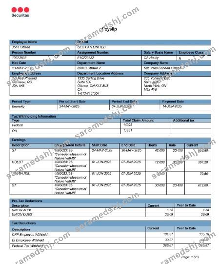 Canada Online Payslip Word and PDF template